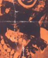 000510_fuessen_pass_01_frontseite