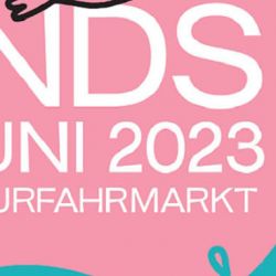 2023 06 17 Linz Innenstadt Ticket 1776857163 386